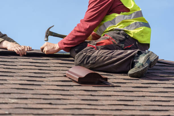 Best Roof Gutter Cleaning  in New Wilmington, PA